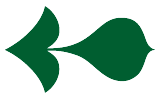 Freccia verde san lorenzo